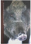vldsvin