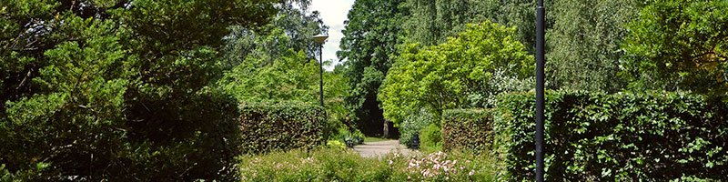 park