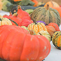 pumpa